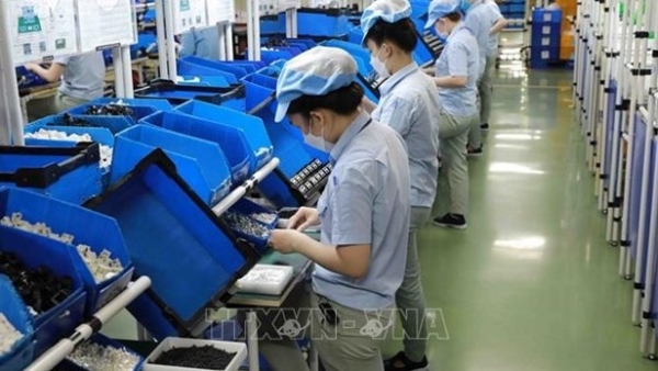 Vietnam has necessary conditions, factors to develop semiconductor industry: Insiders