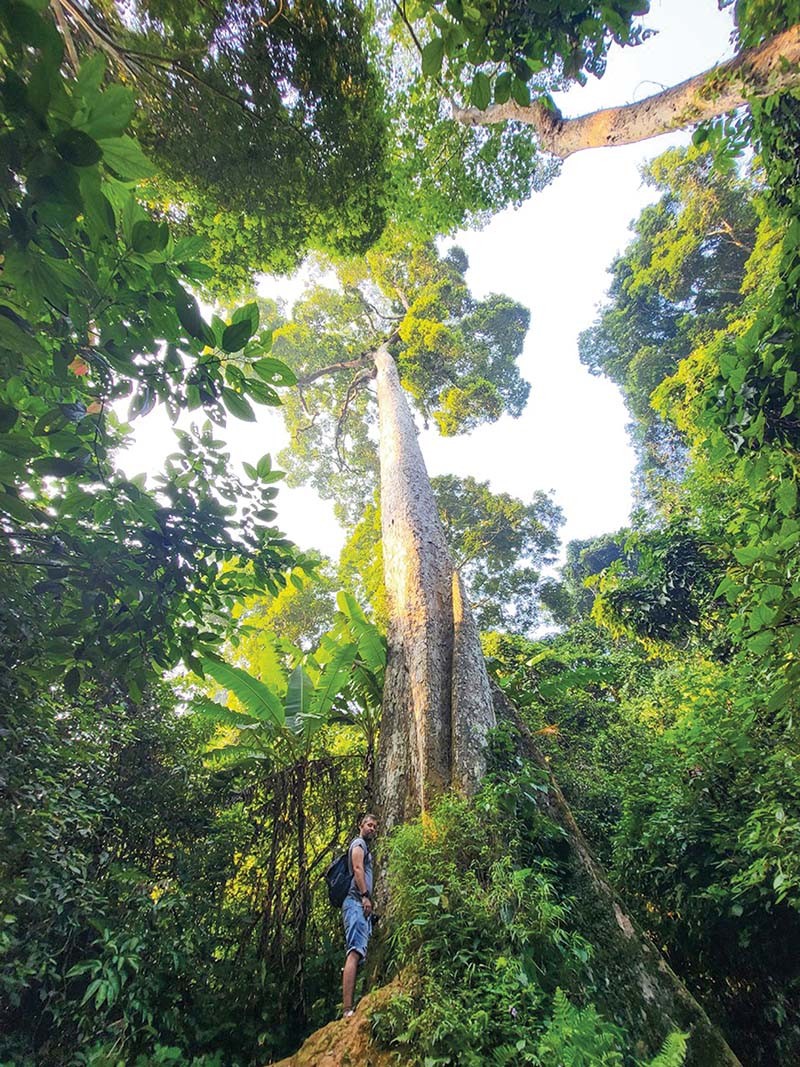 Project eyes CO2 reduction in Vietnam will be deployed this year Project eyes CO2 reduction in Vietnam will be deployed this year