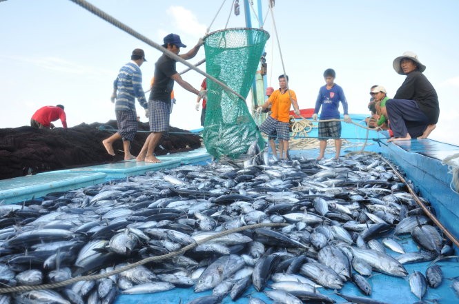 Vietnam's marine economic potential