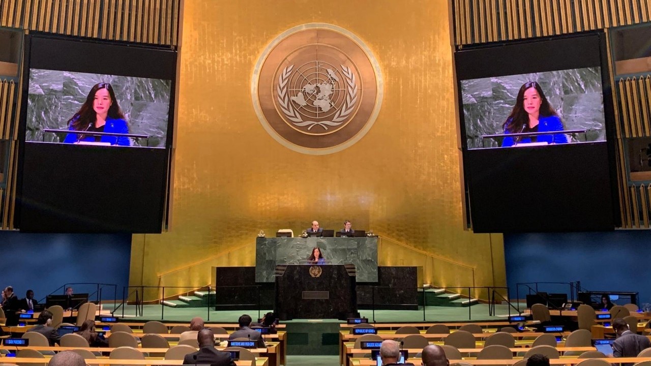 Vietnam supports reform of UN General Assembly’s operation: Diplomat