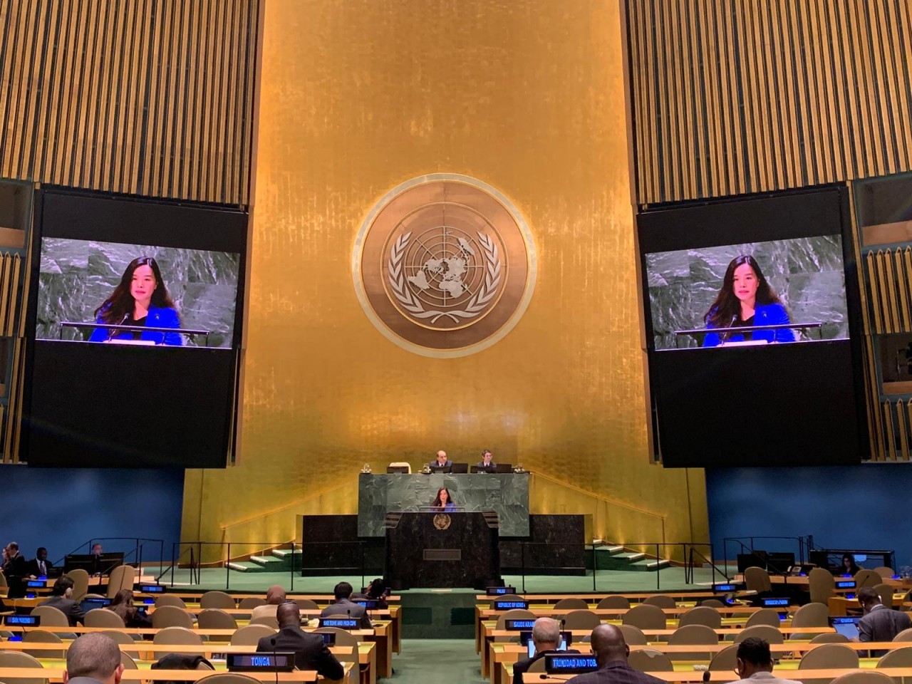 Vietnam supports reform of UN General Assembly’s operation: Diplomat