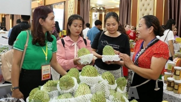 More than 600 transactions recorded at Vietnam-China International Trade Fair