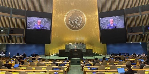 Vietnam supports reform of UN Security Council: Diplomat