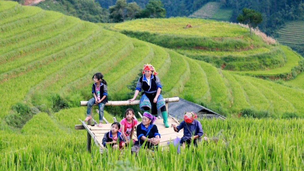 Terraced fields - driving force for the development of Northern ethnic minority areas