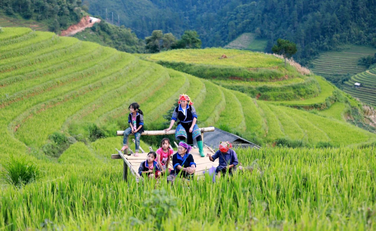 Terraced fields - motivation for developing Northern ethnic minority areas
