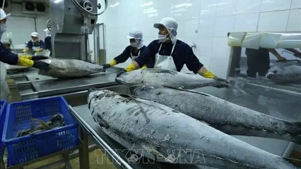 Vietnam’s aquatic exports poised to hit 11 billion USD landmark