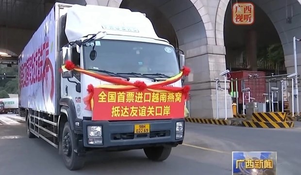 Vietnamese bird&rsquo;s nest products enter China | Business | Vietnam+ (VietnamPlus)