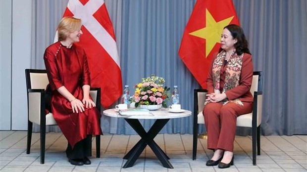 Vice President Vo Thi Anh Xuan meets head of Denmark-Vietnam Friendship Organization