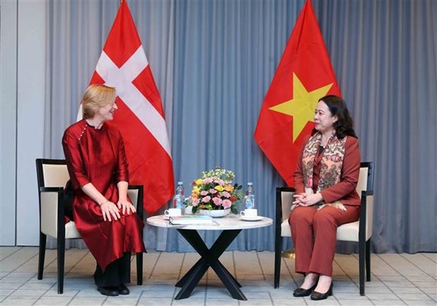 Vice President meets head of Denmark-Vietnam Friendship Organisation | Politics | Vietnam+ (VietnamPlus)