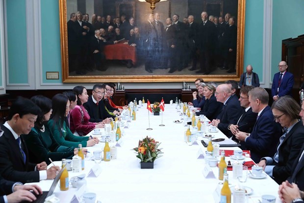 Vice President Vo Thi Anh Xuan meets with Speaker of Danish Parliament