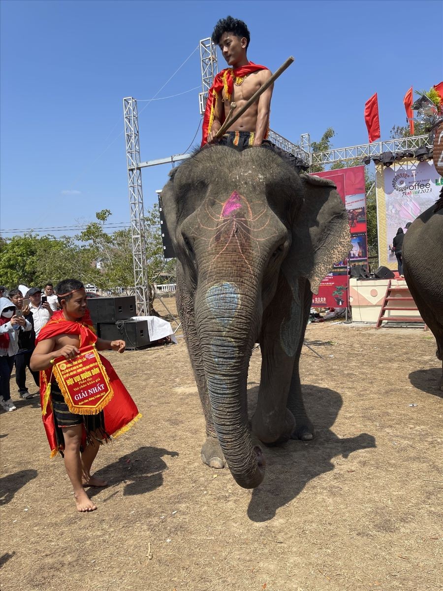 Mahout Y Quang Bya and elephant Kham On won first prize in the audience greeting competition. (Photo: baodantoc.vn)