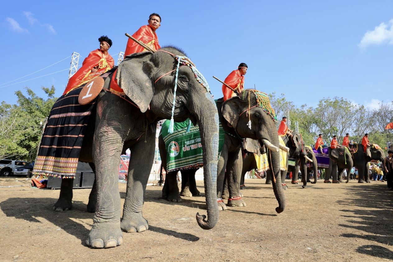 Elephant Kham On participated in 2023 Buon Don Elephant Festival.  (Photo: VNA)