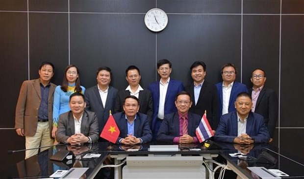 Vietnam, Thailand journalists’ associations strengthen cooperation | Society | Vietnam+ (VietnamPlus)