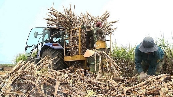 Sugar prices to surge towards the end of the year: VSSA