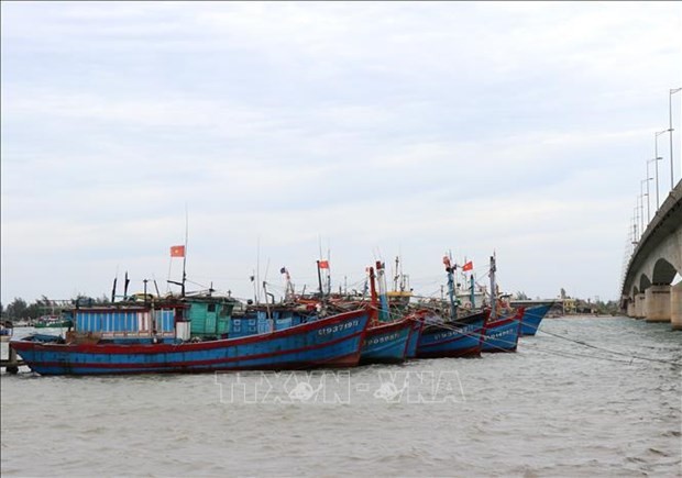 Binh Thuan determined to crack down on illegal fishing vessels Binh Thuan determined to crack down on illegal fishing vessels
