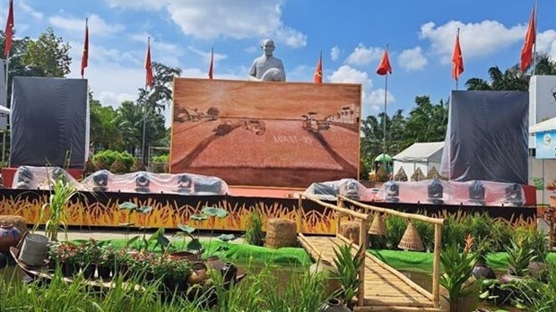 Painting made of  ST rice in Soc Trang sets Vietnam record