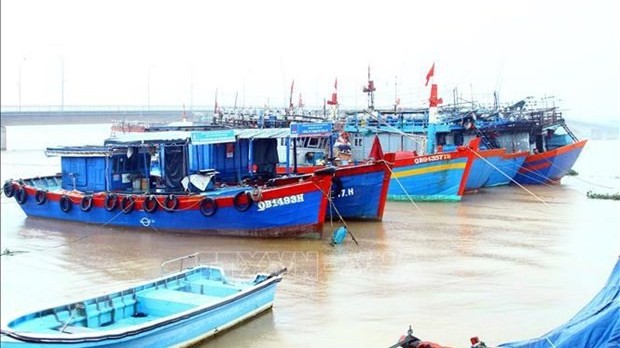 Quang Binh takes strong measures to fight IUU fishing