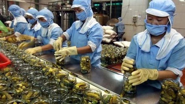 Great potential for Vietnamese goods to enter Africa, Middle East