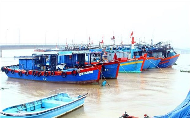 Quang Binh takes drastic measures to fight IUU fishing | Society | Vietnam+ (VietnamPlus)