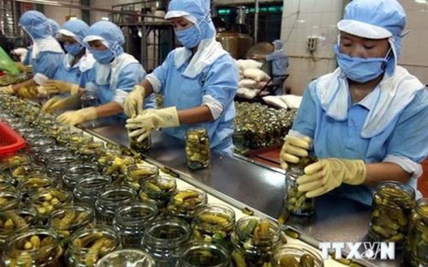 Great potential for Vietnamese goods to enter Africa, Middle East | Business | Vietnam+ (VietnamPlus)