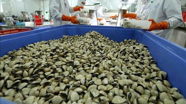 Vietnamese clam products present in nearly 60 markets worldwide