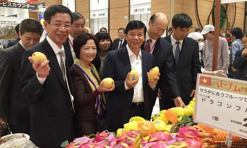 Former Deputy FM, Ambassador Nguyen Quoc Cuong awarded Japan’s Order of the Rising Sun