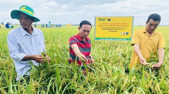 Establishing strong brands is crucial for enhancing competitive value of Vietnamese agricultural products