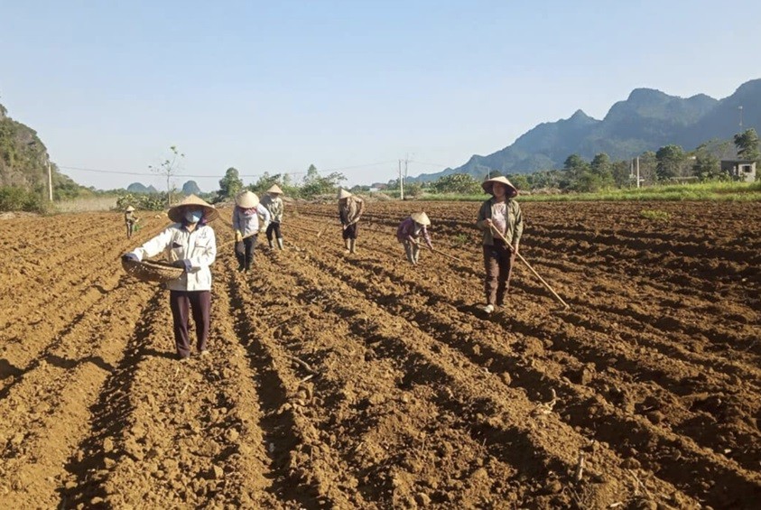 Newly flourishing face of rural areas in Hoa Binh province