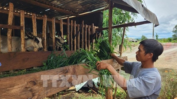 Multidimensional poverty rate to reduce to 2.93 per cen at end of 2023: Government's report