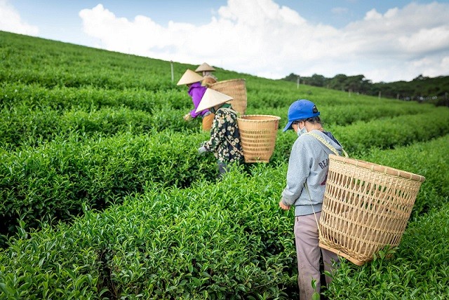 For a breakthrough in Vietnam's agricultural tourism…