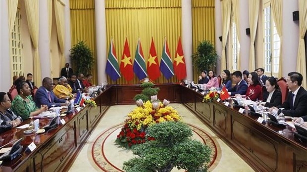 Vice President Vo Thi Anh Xuan holds talks with Deputy President of South Africa