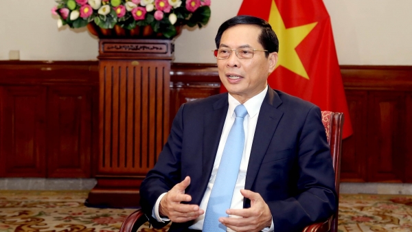 Foreign Minister Bui Thanh Son highlights achievements in performing 'Bamboo diplomacy'