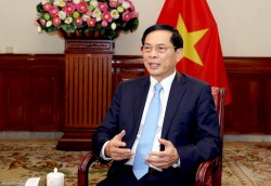 Foreign Minister Bui Thanh Son highlights achievements in performing 'Bamboo diplomacy'