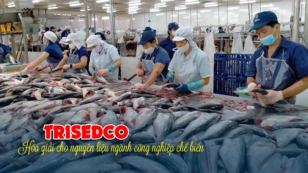 Continue writing the story of enhancing the value of deep processing for Vietnamese seafood