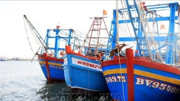 Southern coastal provinces fight on IUU fishing: MARD