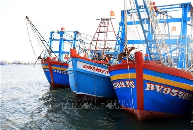 Southern coastal provinces crack down on IUU fishing