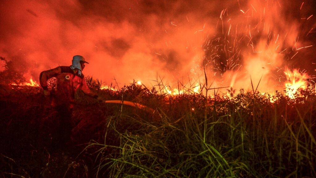 Indonesia hiện đang đối mặt với nguy cơ gia tăng các vụ cháy rừng và đất than bùn do tác động của hiện tượng thời tiết cực đoan. (Nguồn: Hum News)