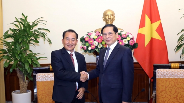 FM Bui Thanh Son welcomes Lao Deputy Minister of Foreign Affairs Ting Souksanh