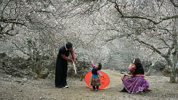 Vietnam developing community-based tourism Vietnam promotes community-based tourism for sustainable development: Experts