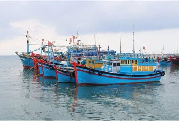 Binh Thuan province resolved to fight IUU fishing