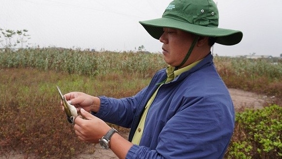 Nhiều hoạt động thiết thực bảo vệ chim di cư ở Kim Sơn, Ninh Bình