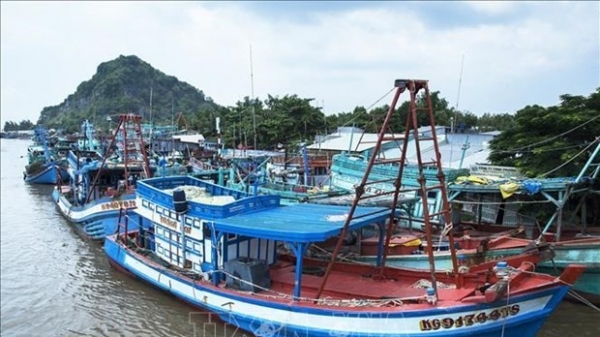 Kien Giang intensify measures to combat IUU fishing