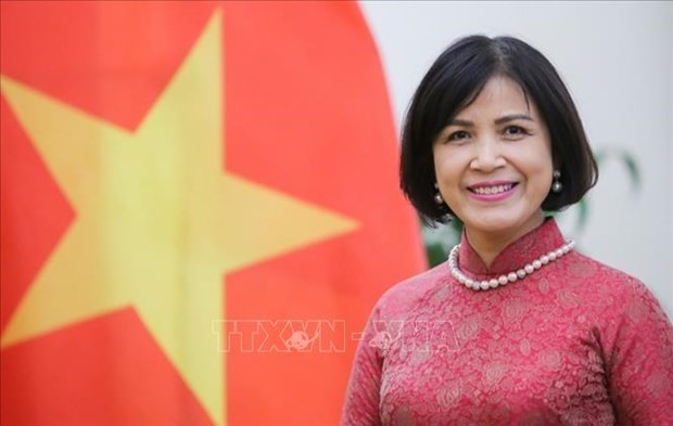 PM to highlight Vietnam’s ideas, commitments in sustainable development at WEF-54: Ambassador