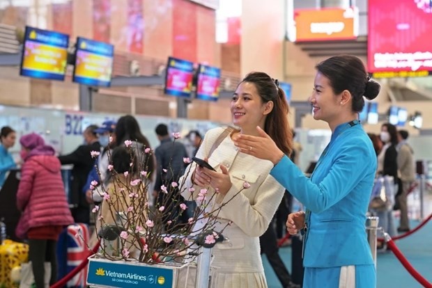 Vietnam Airlines transports apricot, peach blossoms for Lunar New Year Tet