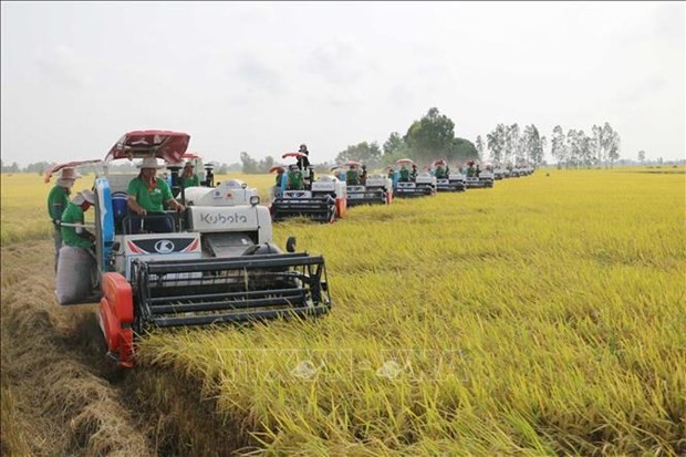 Agriculture sector sets new records amid global challenges: Minister