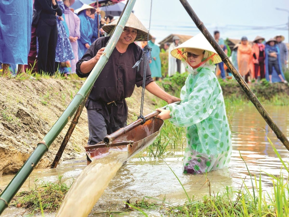 'Going to the field' festival in Hoi An attracts tourists