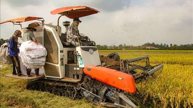 Italian firms seek to boost partnership in agricultural mechanisation in Vietnam: Online seminar