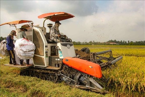 Italian firms seek to boost partnership in agricultural mechanisation in Vietnam