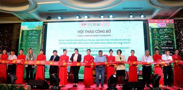 Netherlands, Australia help transform rice value chains in Mekong Delta: Workshop