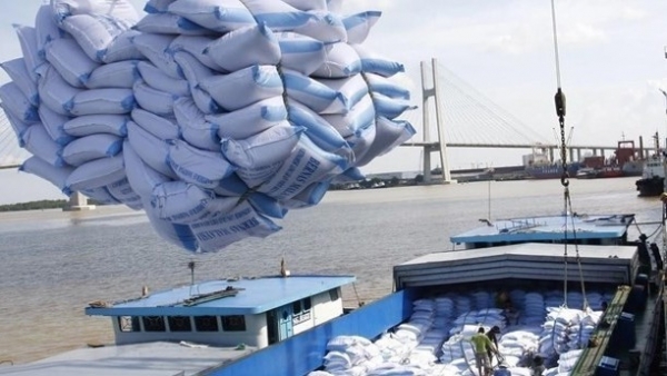 Big opportunities for rice exports with bright signs of market and price in 2024: MOIT